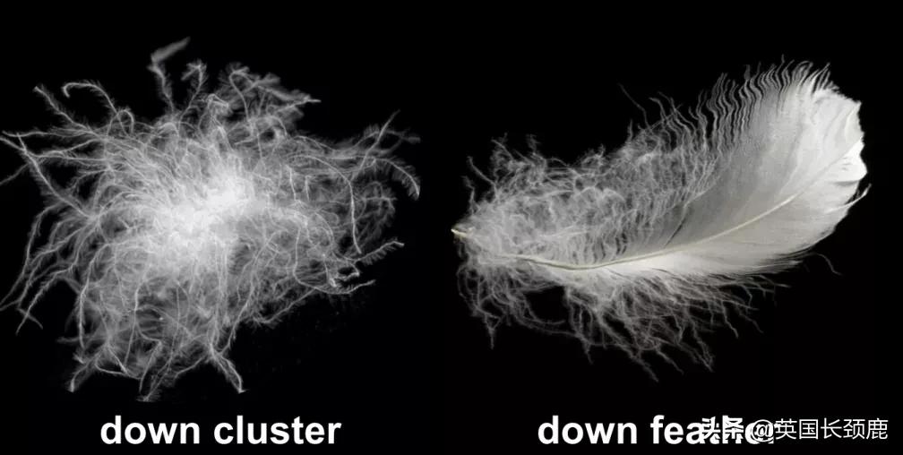 英国保暖外套,英国都穿什么羽绒服