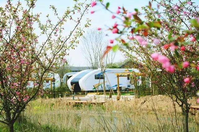 想去一个星空最美的地方露营,最美星空露营地