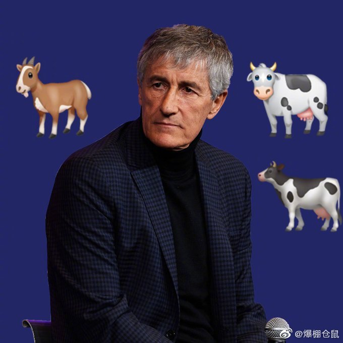 巴萨去世队员,巴萨死了