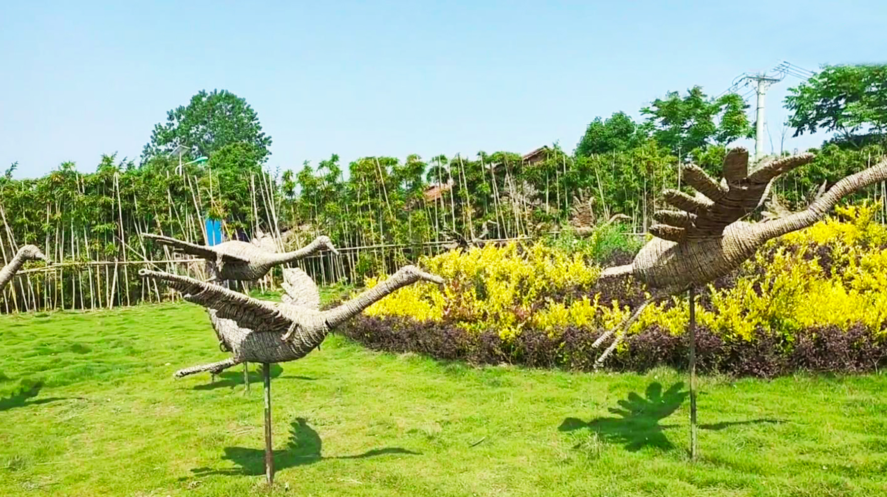 武汉绝美湿地公园,武汉东湖湿地公园景点