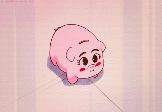 果壳带着猪猪和猪猪小秘密，给你拜年来啦！