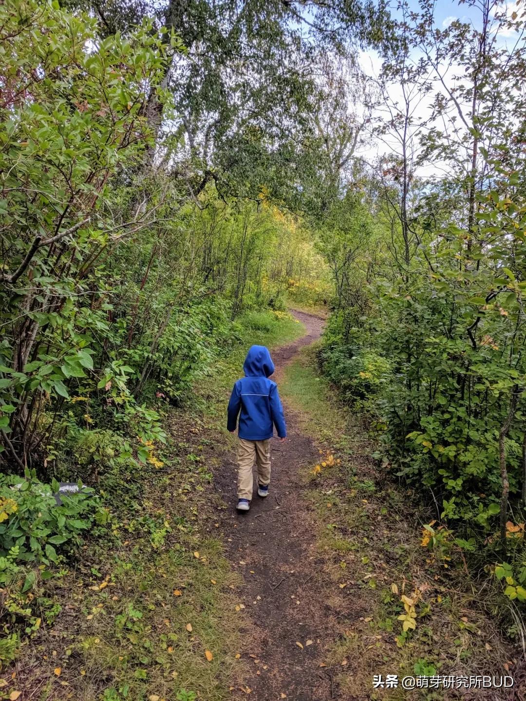 亲子不过夜露营必备物品清单,户外露营小攻略2人