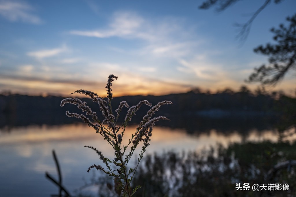 徕卡q3与徕卡m11-p哪个比较好,徕卡相机q与q-p有什么区别