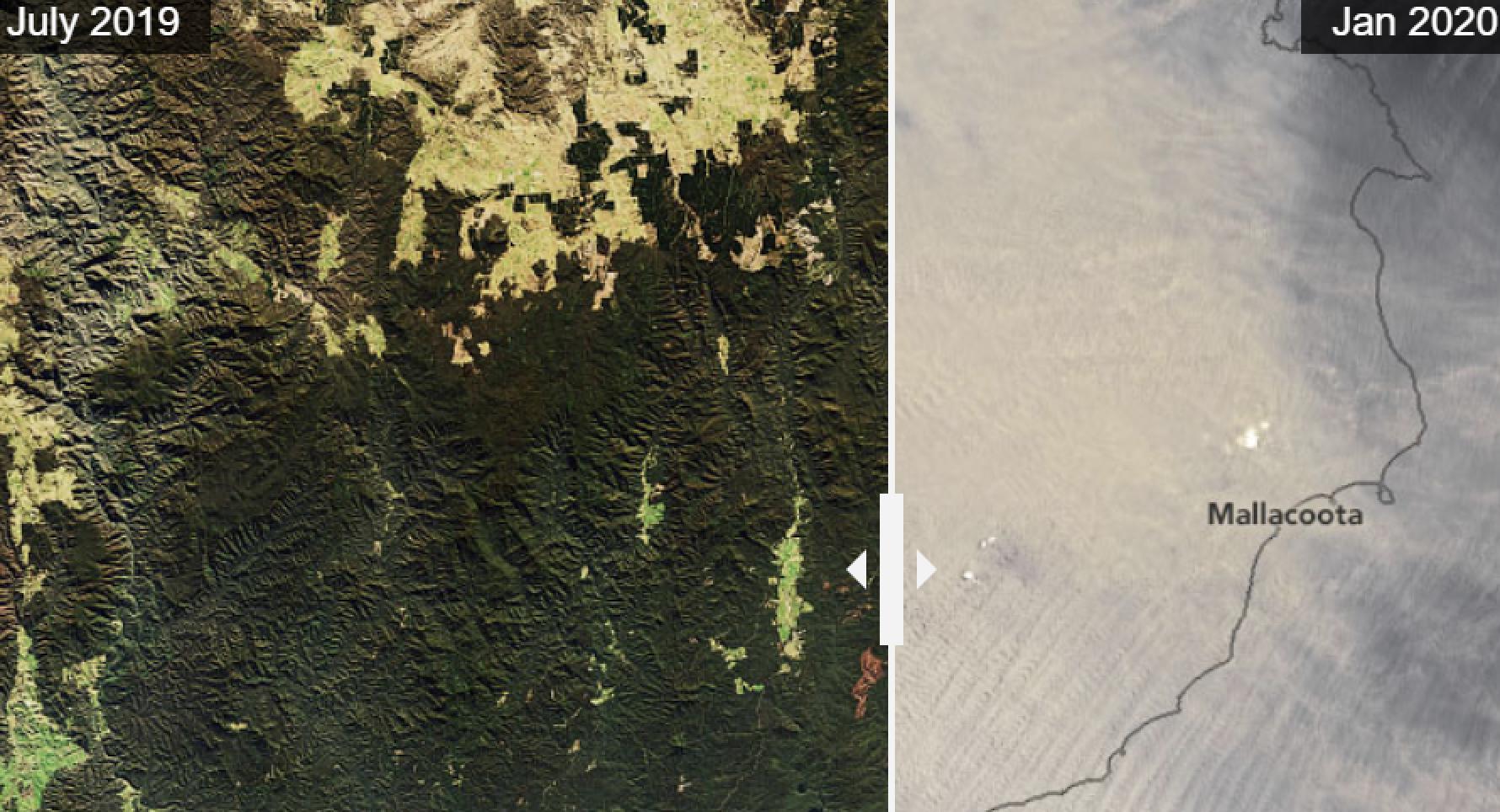 澳大利亚大火导致10亿动物葬身火海，空气污染严重口罩紧俏，大火释放的二氧化碳需一个世纪才能吸收