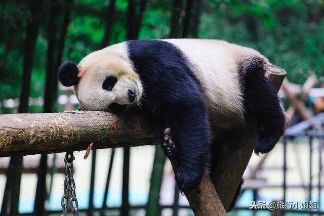 天目湖加南山竹海哪里泡温泉好,天目湖度假秘境享受绝美自然山水