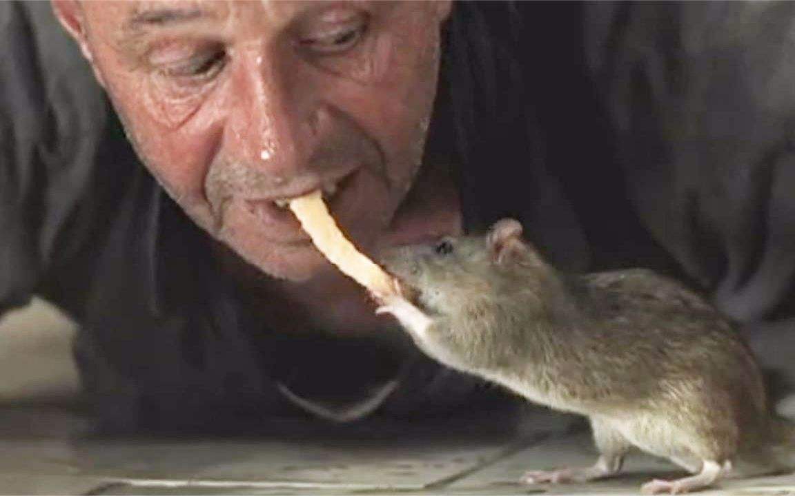 最好看的恐怖病毒爆发电影,十部最可怕的病毒电影