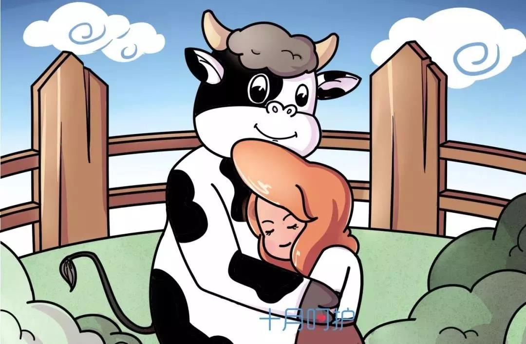 孕妇奶粉是调制乳喝了对胎儿好吗,孕妇奶粉真的有那么多营养吗