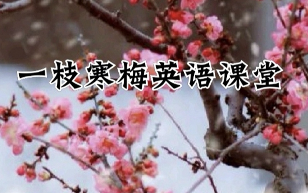 初中英语句型结构讲解视频,初中英语作文常用句型70个