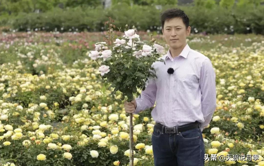 想找一份种花的工作,喜欢花草的适合什么工作