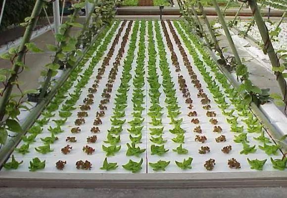 未来三年农村创业项目的发展,农村创业项目推荐2020新政策