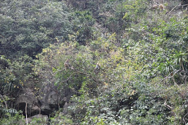 这里虽然风景如画人们生活的却很凄惨没日没夜的追着大船讨生活