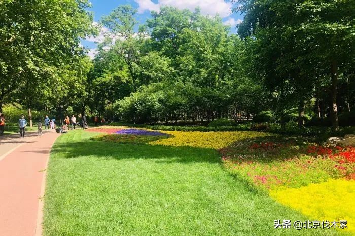 芒种至仲夏始最好的生活是什么,芒种好玩的地方