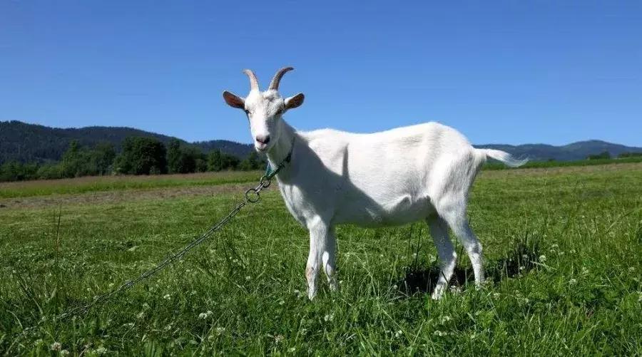 史上最全常用纺织原料,常见纺织原料