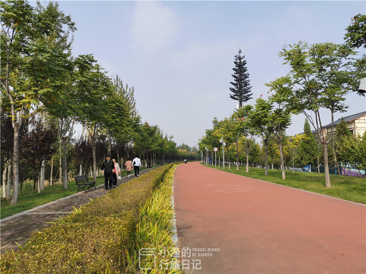 西安适合拍照的湿地公园,西安湿地公园赏花