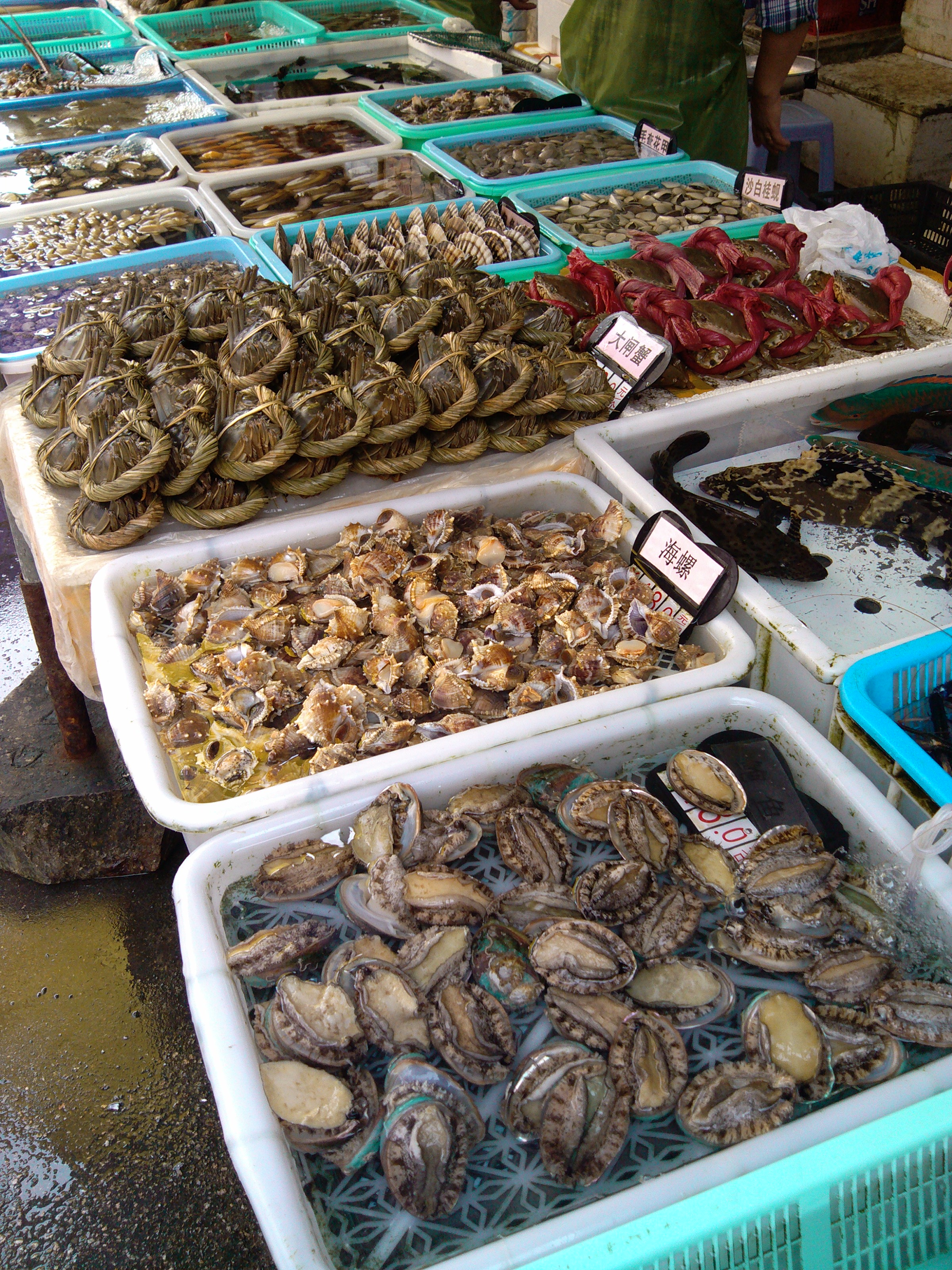 珠海海鲜游,珠海澳门环岛游时间表