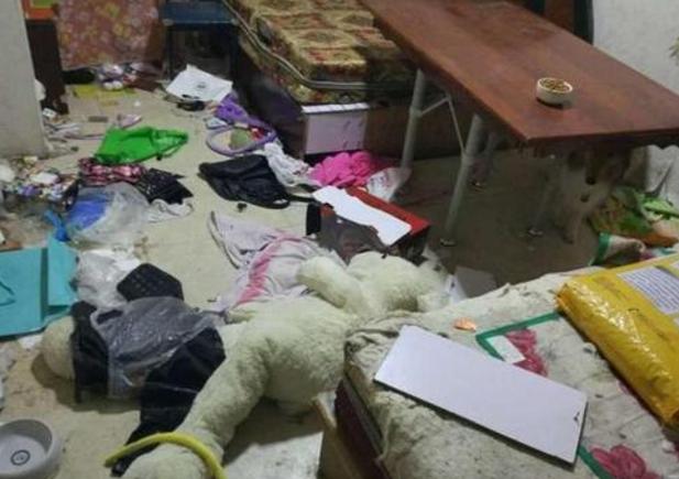 哈士奇一种养不养都会后悔的狗狗,养哈士奇可以像养土狗一样吗