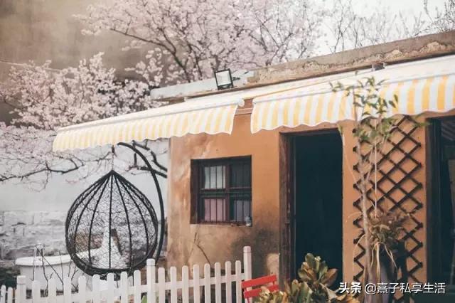 怎么打造低成本花园,怎么用几十元造花园