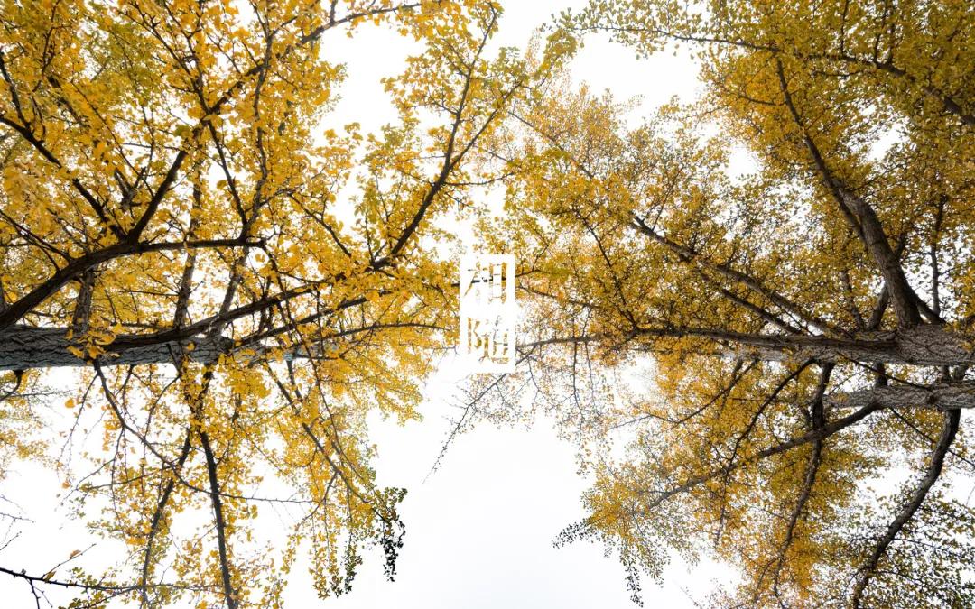 美过三亚！比厦门浪漫！中国这座海滨老城，去一次相当环游世界！