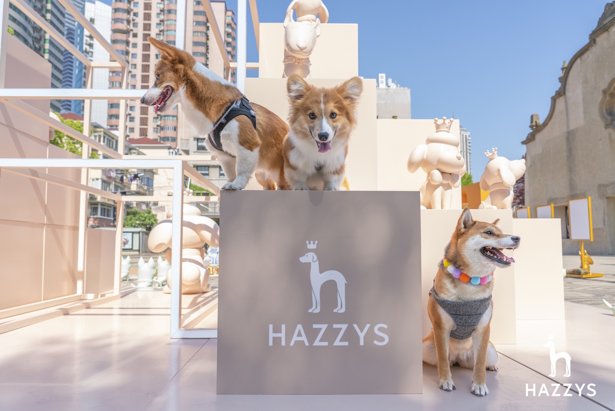 哈吉斯playforever,hazzys哈吉斯白色