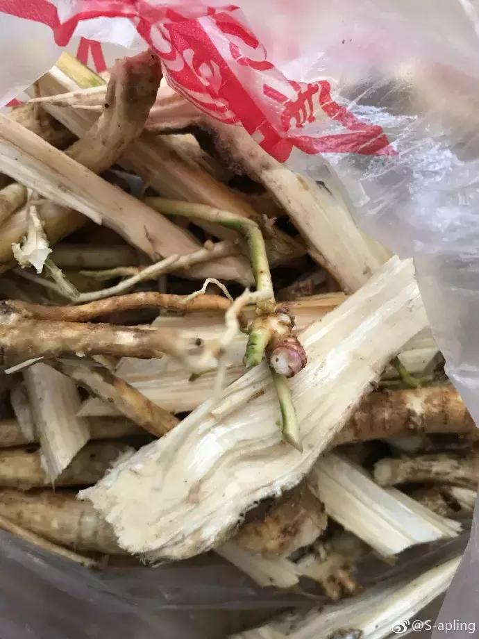 湿疹，当代老中青三代不治之症