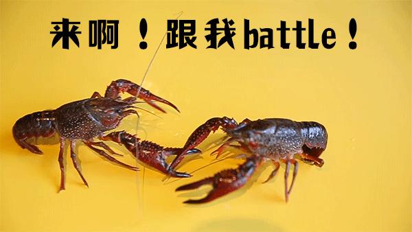 半个娱乐圈都打卡的眼镜小腰在簋街开店了！竟然3天五折！