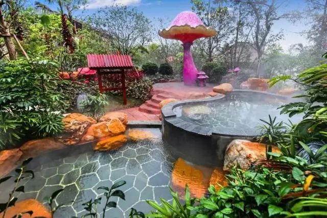 佛山美的鹭湖399抢购岭南花园公寓,广东佛山美的鹭湖195元