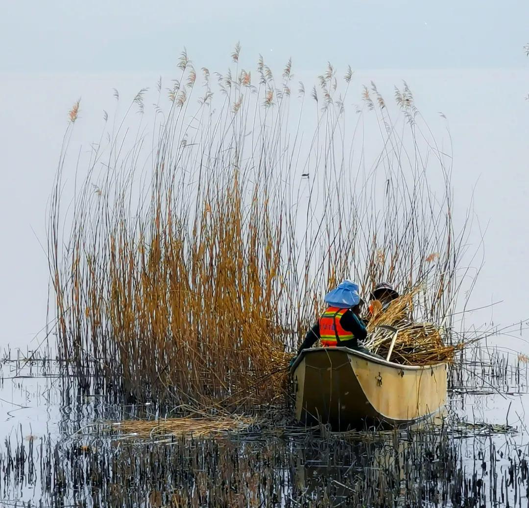 2023平遥国际摄影节获奖摄影作品,2009大理摄影展获奖作品