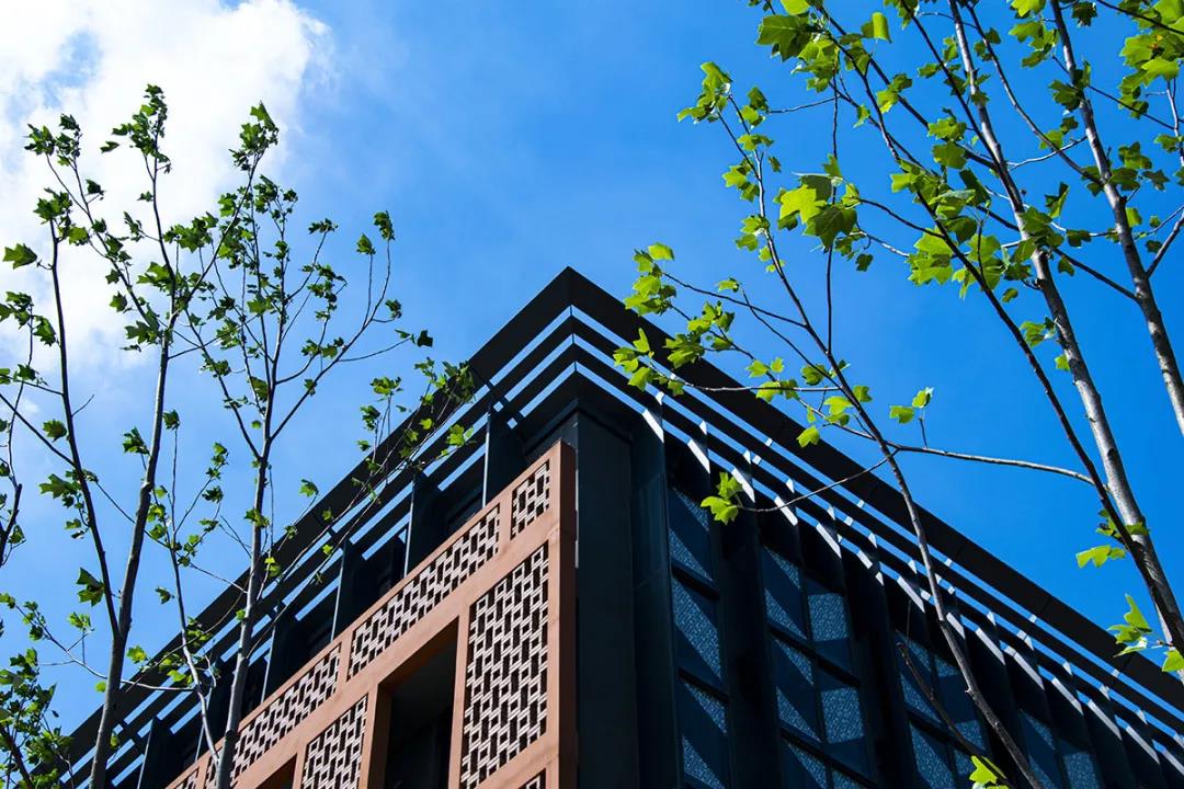 复旦大学ppt模板下载,浙江大学极简ppt模板