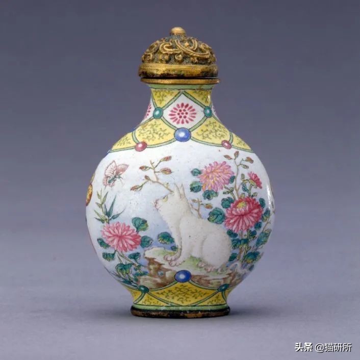 各种花色的猫在古代怎么称呼,猫咪在古代有哪些称呼呢