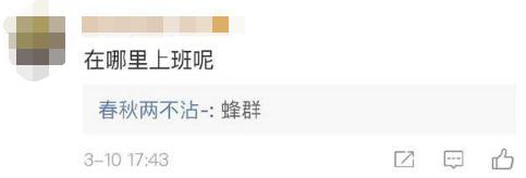 她消费了22万网友的同情心,直到把自己送进看守所