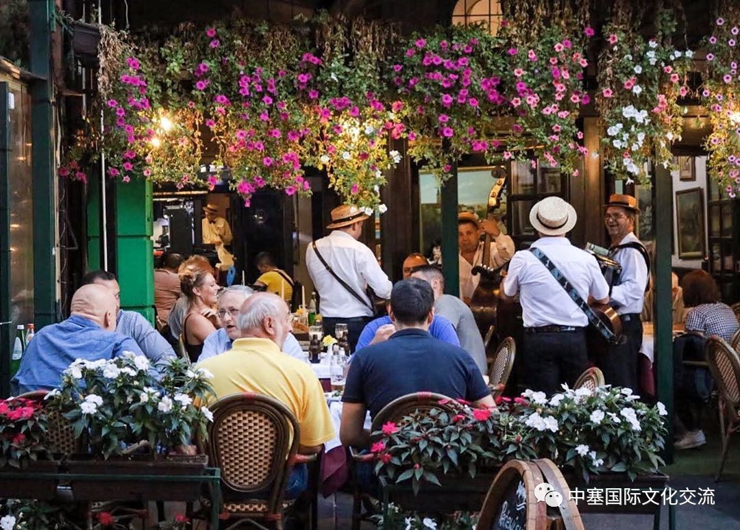 塞尔维亚孤单星球,塞尔维亚十大孤独星球