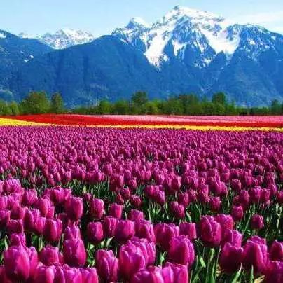 每个人的旅行清单，都有个云南，或迟或早，我们都将到达那方天地