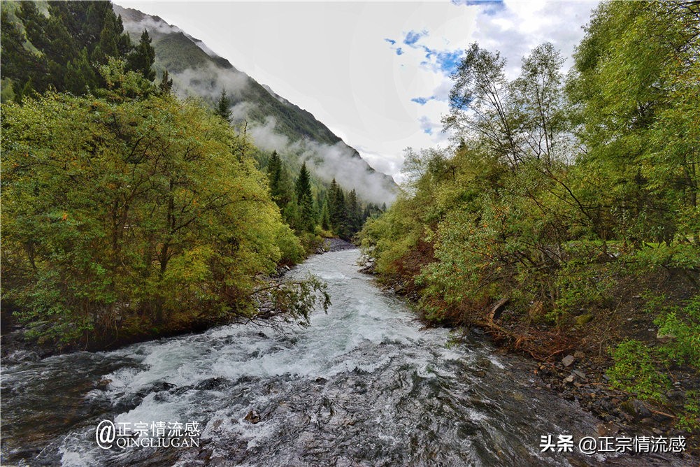 夜色成都串串爽,魅力小金苹果香#国庆中秋趣哪玩#