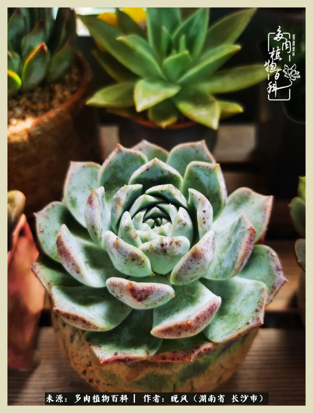 摇身一变成了奶爸,摇身一变成为打工人