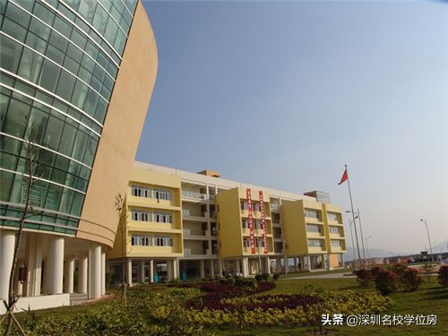 宝安小学排名一览表,弘雅小学在宝安的排名