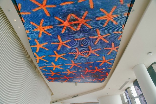 深圳平安好玩的地方,深圳平安观光攻略