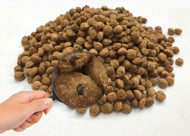 博美犬呕吐拉稀如何治疗,博美犬肠胃差经常呕吐拉稀怎么办