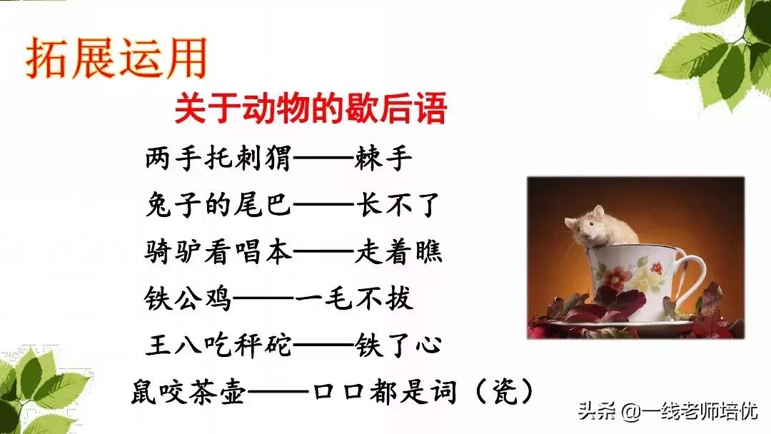 带刺的朋友三年级上册,三年级语文带刺的朋友课文知识点
