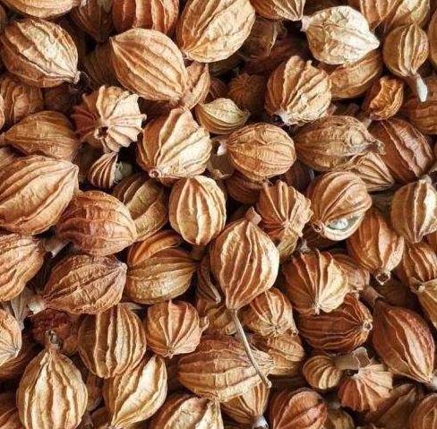 揭秘34种常用香料的名称与用途,香料图片名称大全常用