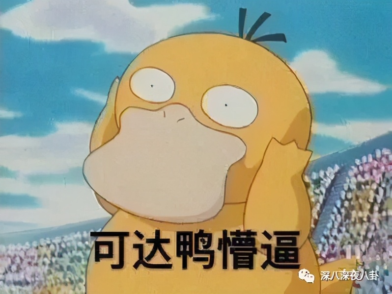 新一波韭菜又该熟了,这一次的新韭菜还够割吗