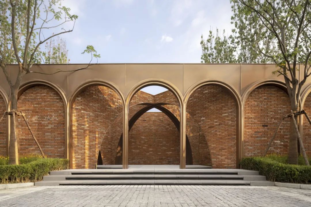 荣获乡村振兴优秀证书,2023乡村振兴成就奖