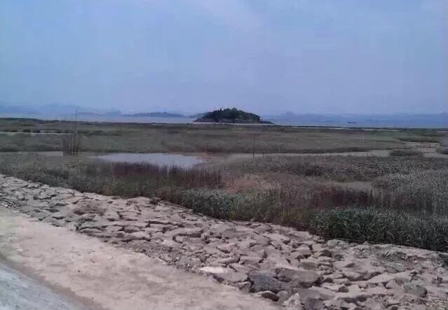 宁海长街文围村视频,最新宁海长街文围村