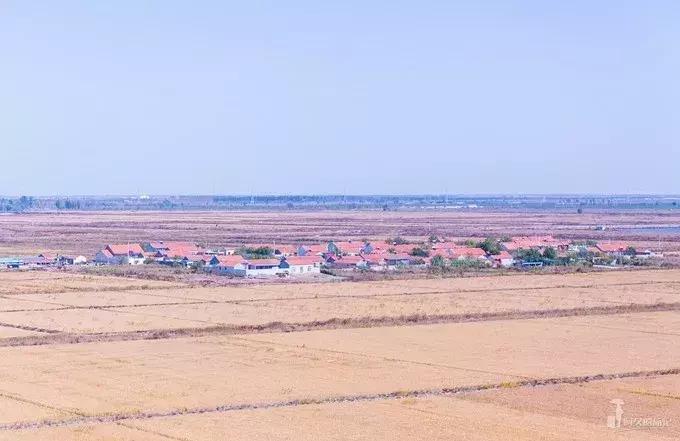 前方高能预警会怎样,前方高能预警提示