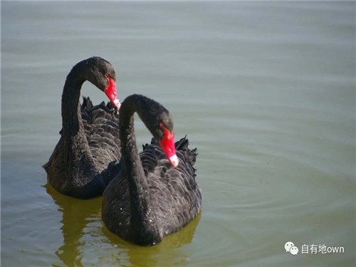 多肉哥农庄日记第21篇：培训结束，收获满满。