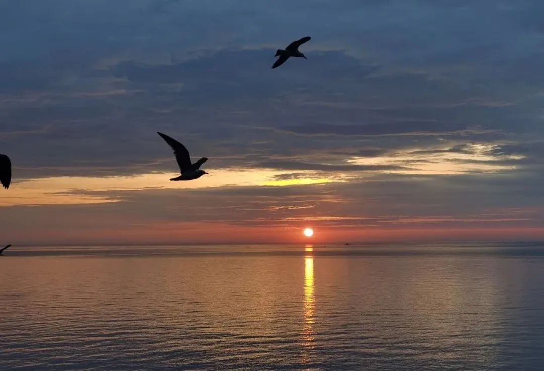 看见美好之境,长岛看见美好之境