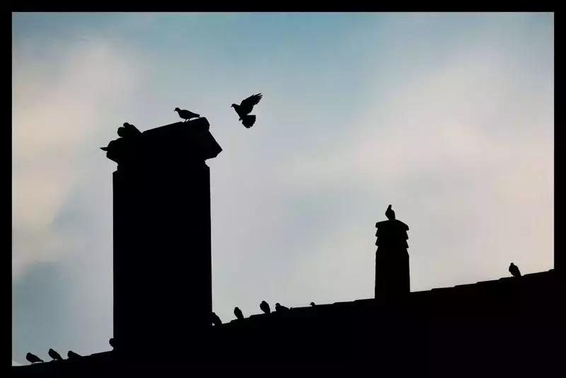 鎴戠殑鏃呮父鎽勫奖缇庡浗娓歌,鎽勫奖浣滃搧鎴戠殑鏃呰