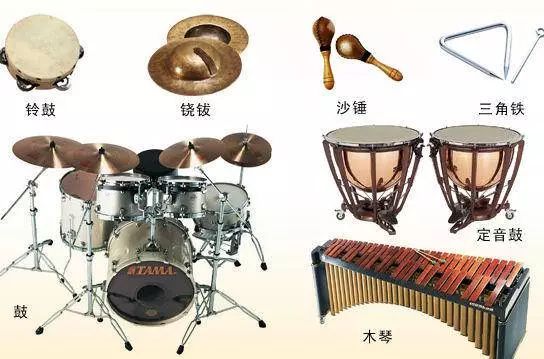 很简单就学会的古典乐器,你学的乐器是什么