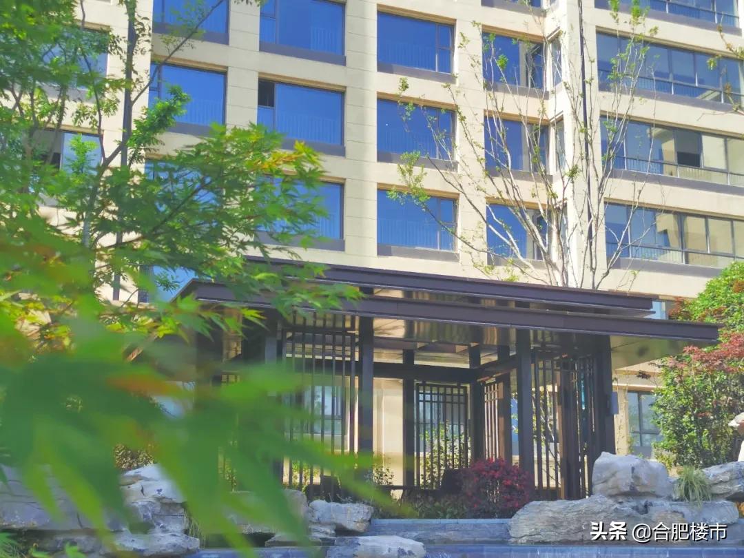 滨湖新区新盘,滨湖新区高档楼盘样板房