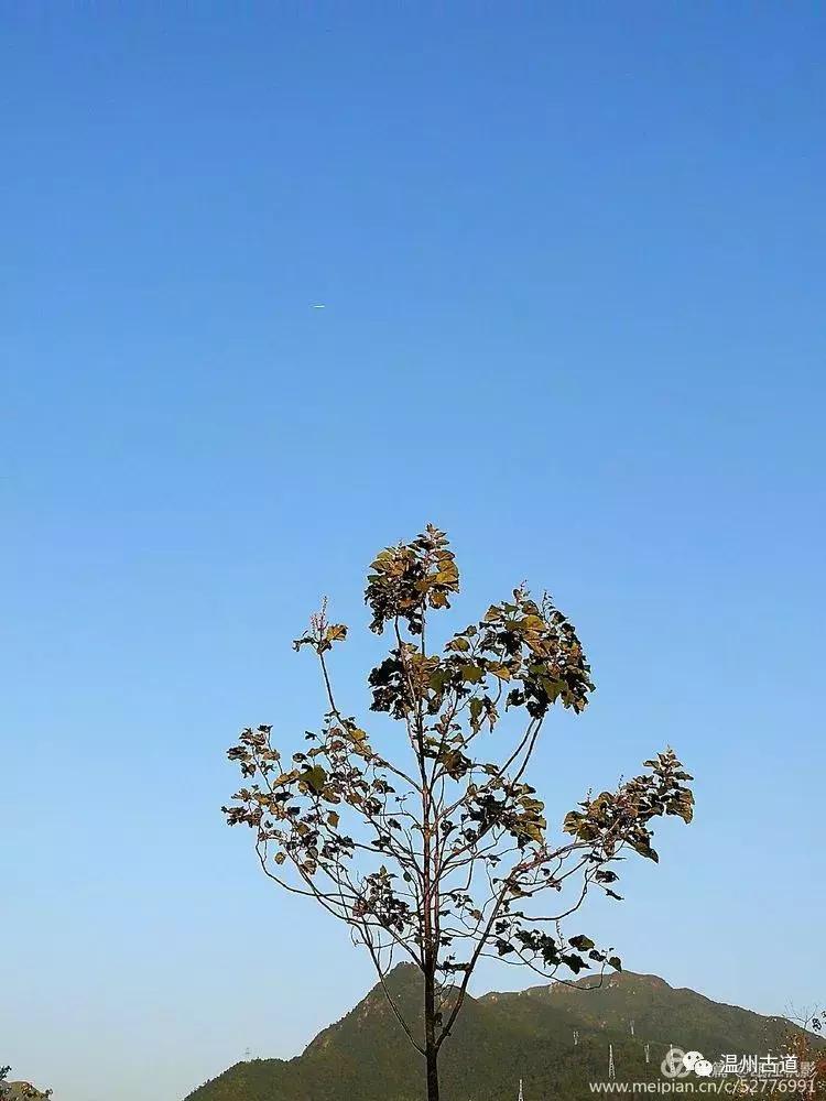 瓯江山水美如画,浙江瓯江旅游景点大全