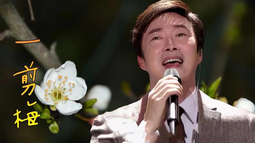 费玉清20首上海滩经典一剪梅歌曲,费玉清演唱会一剪梅2019完整版